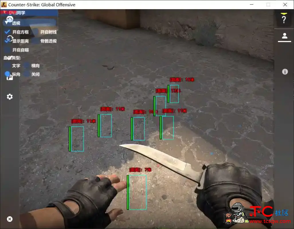 CSGO同学免费辅助 官匹随意蛮 透视自瞄两个版本 TC辅助网www.tcsq1.com7645