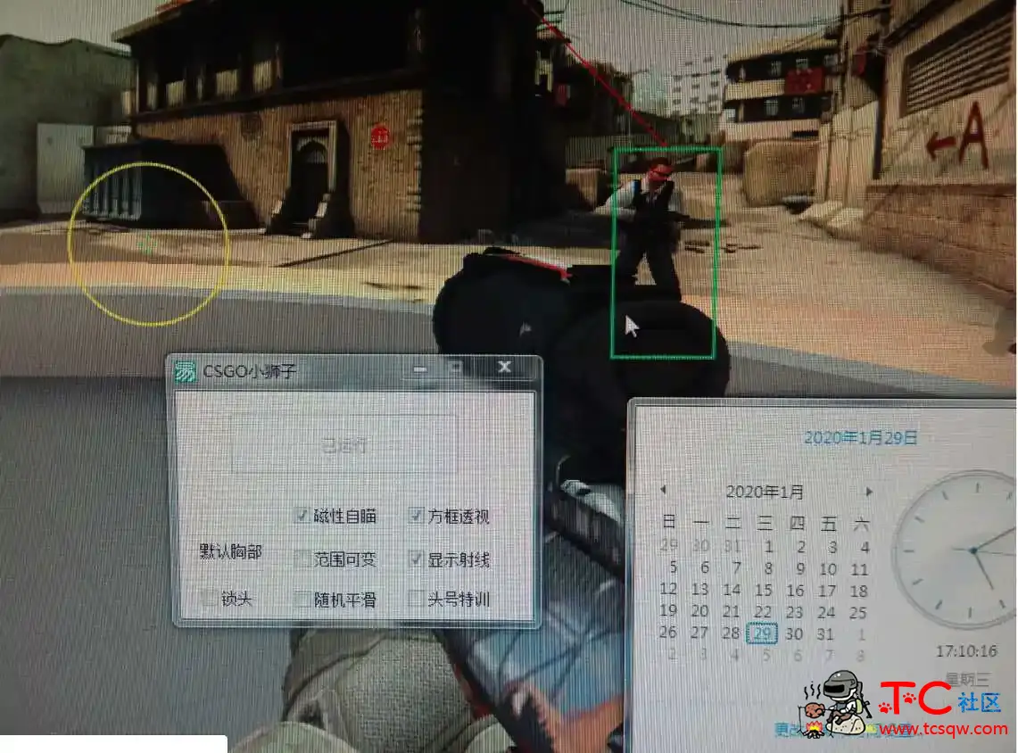 CSGO啦啦啦小狮子免费版官匹奔放 TC辅助网www.tcsq1.com3442