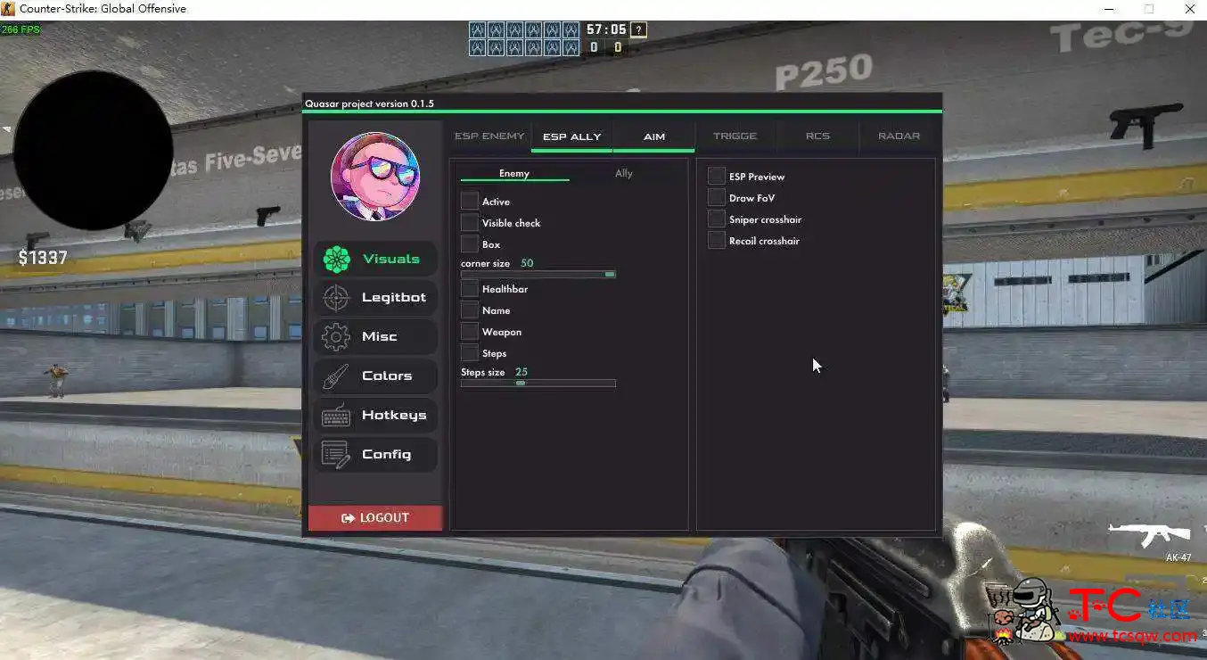 CSGO Quasarv0.1.7外部辅助 TC辅助网www.tcsq1.com6179