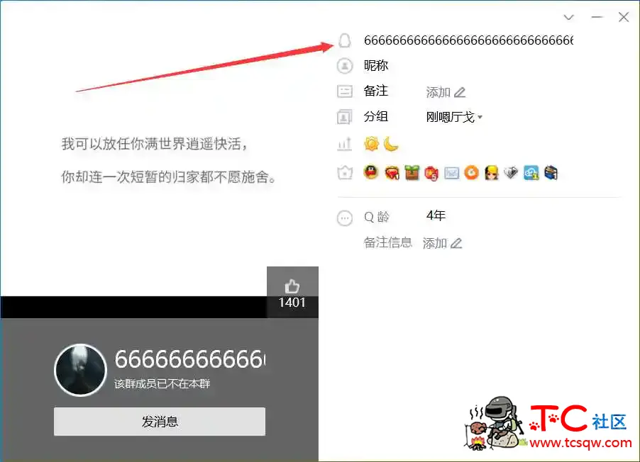 超长QQ号 TC辅助网www.tcsq1.com8426