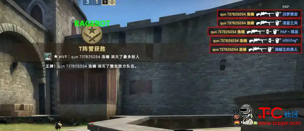 CSGO辅助 TC辅助网www.tcsq1.com871