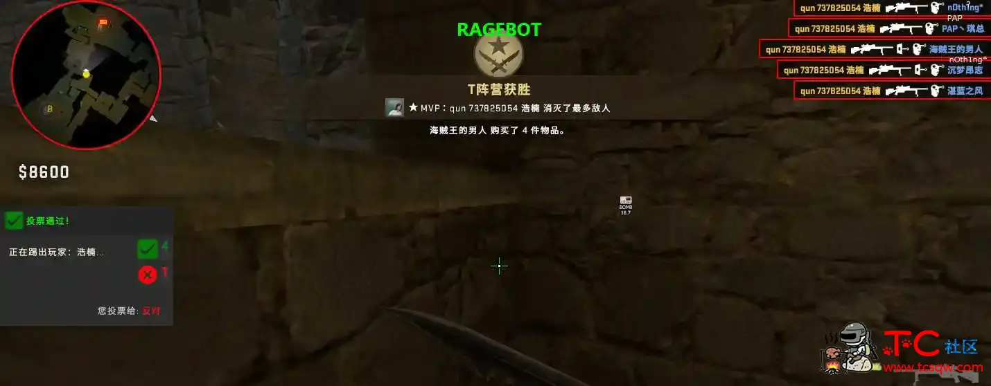 CSGO辅助 TC辅助网www.tcsq1.com8313