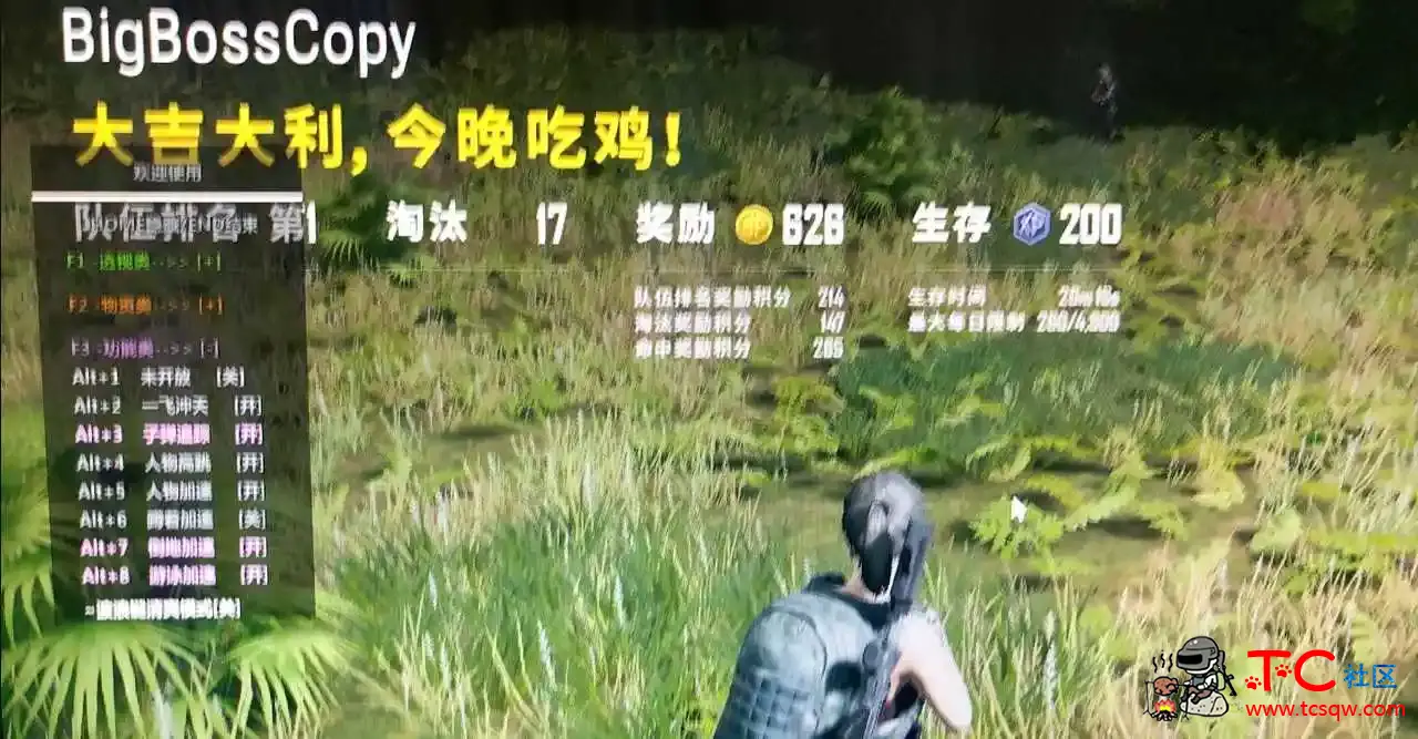 绝地求生PUBG-ST多功能辅助原秀儿破解 TC辅助网www.tcsq1.com3379