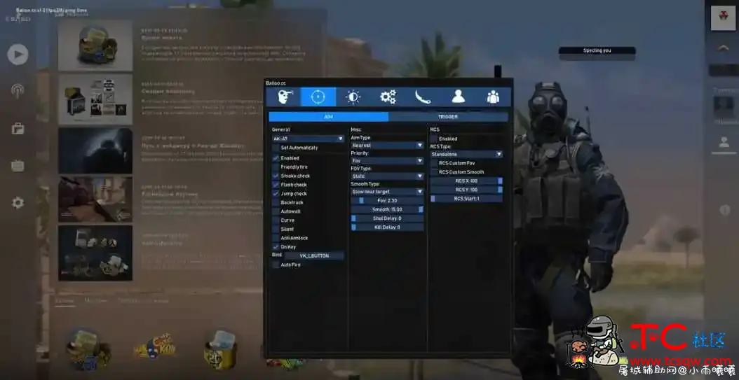 CSGO Balioo-多功能辅助DLL老外辅助网出品 TC辅助网www.tcsq1.com3445