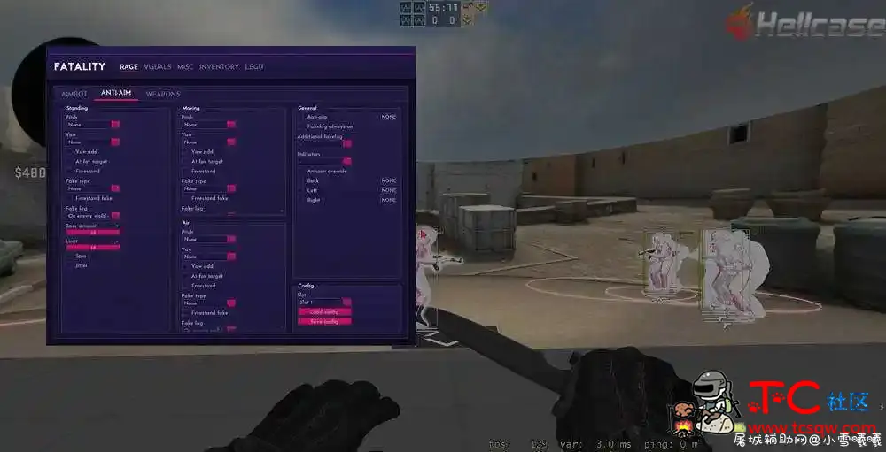 CSGO fatality老外顶级辅助破解版 TC辅助网www.tcsq1.com7095