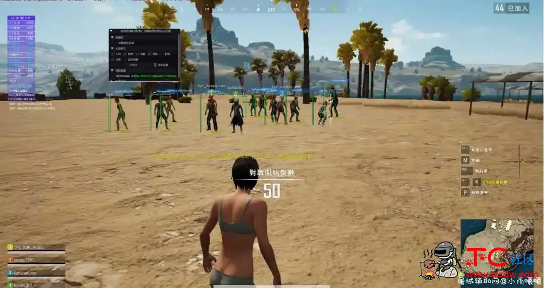 PUBG LITE泰服小学生专用透视自瞄白嫖版 TC辅助网www.tcsq1.com1608