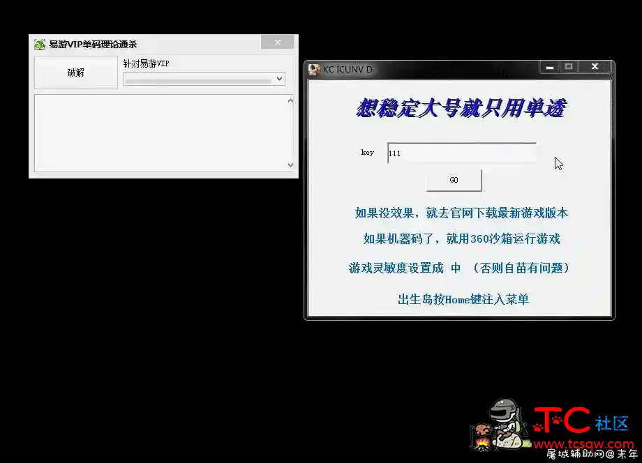 易游网络验证VIP单码理论通杀(无视加壳 ） TC辅助网www.tcsq1.com93