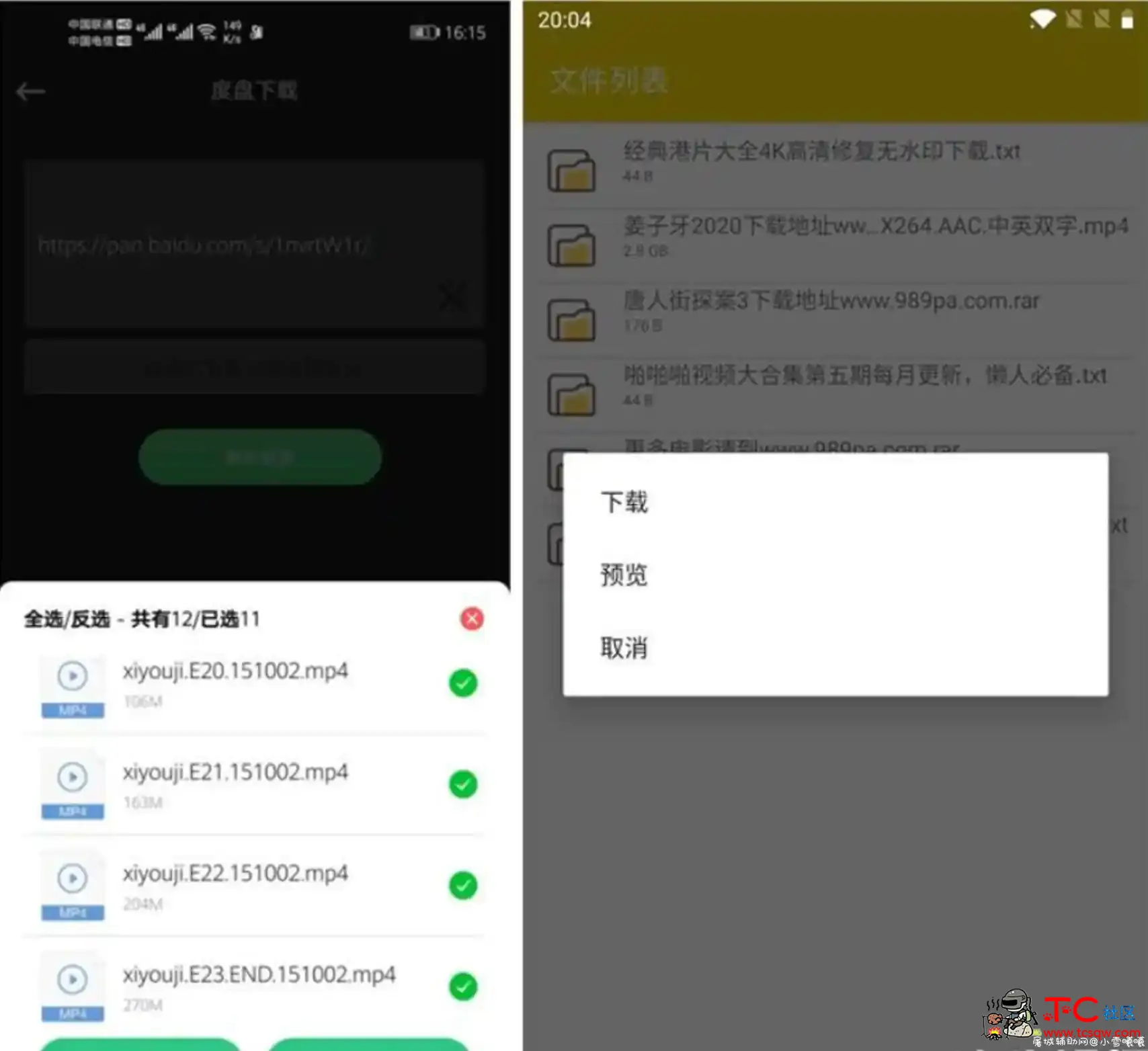 极速下载 v20.11会员版 秒杀闪电/支持迅雷不限速 TC辅助网www.tcsq1.com3607