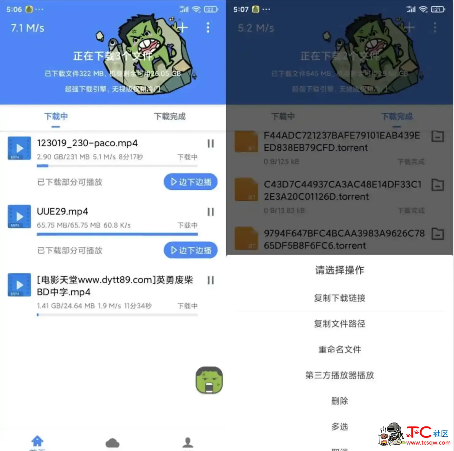 浩克下载v1.0.2会员版/完美超越/比特彗星 TC辅助网www.tcsq1.com4017