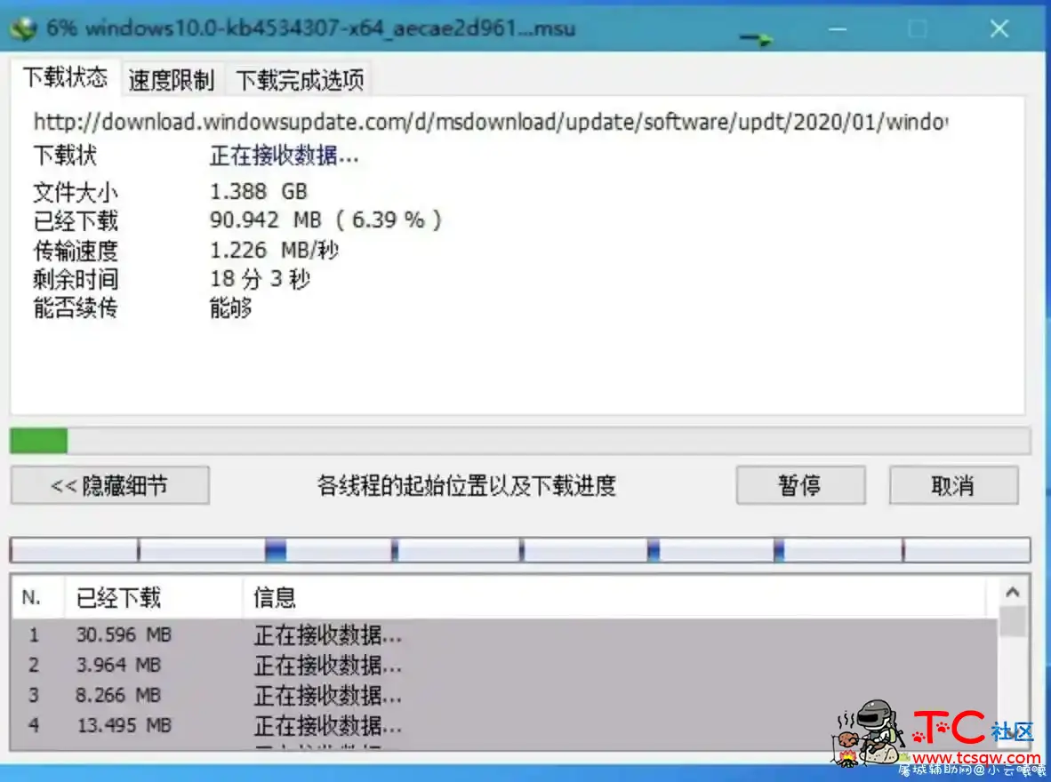 下载利器IDM 6.38.15绿色版 TC辅助网www.tcsq1.com5338