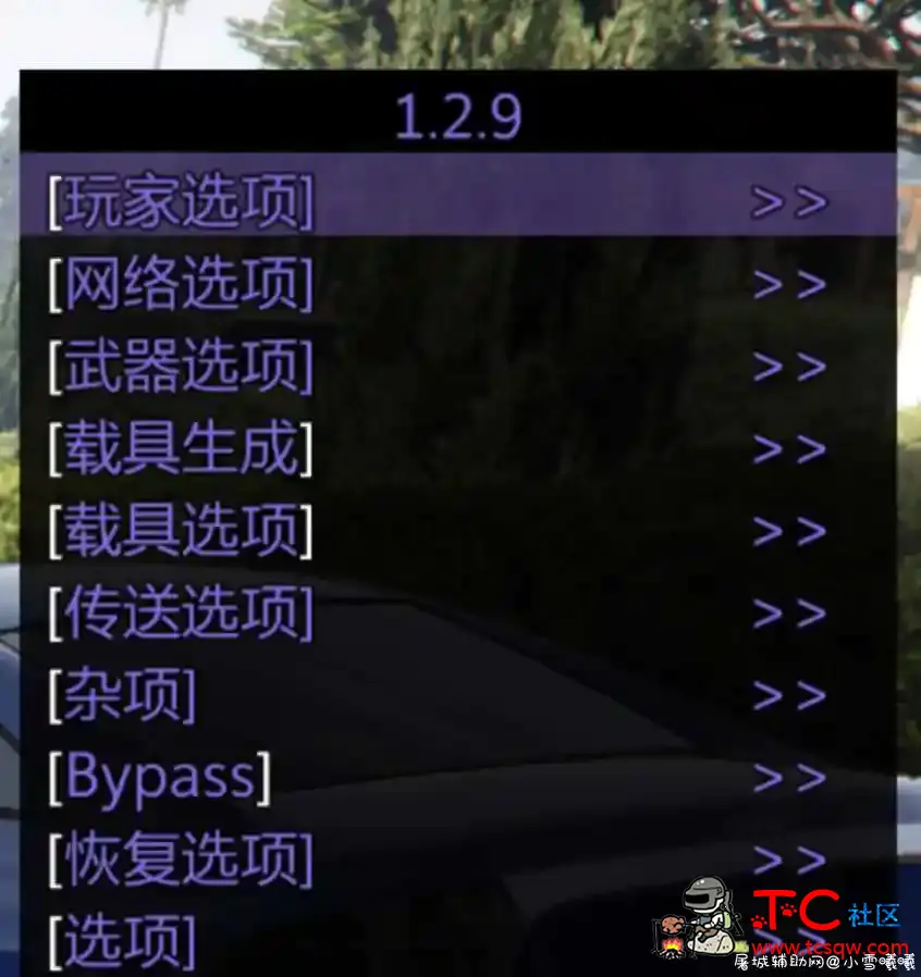 GTA5 iVritex1.2.9免费辅助/汉化/安全 TC辅助网www.tcsq1.com5121