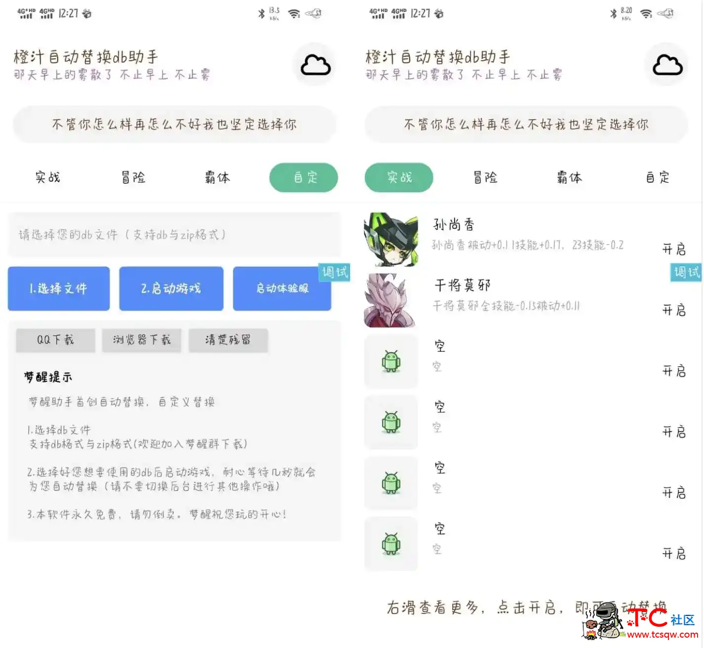 王者荣耀橙汁自动替换db软件 TC辅助网www.tcsq1.com9031