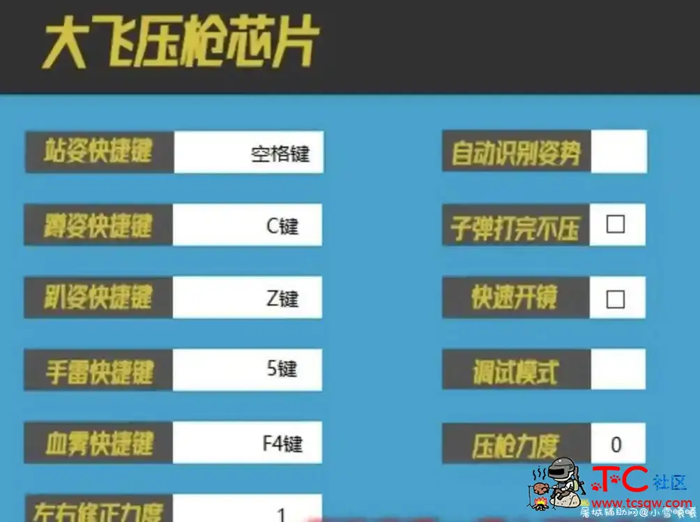 绝地物理压枪工具-自动识别-血雾追踪 TC辅助网www.tcsq1.com4462