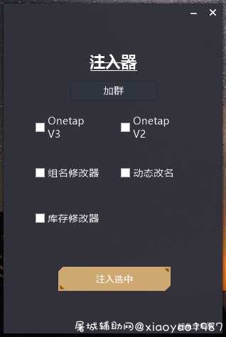 CSGO最新注入器 屠城辅助网www.tcfz1.com2104