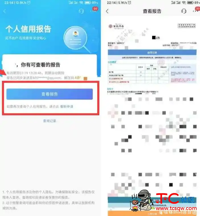 查询自己征信是否污点方法 TC辅助网www.tcsq1.com9122