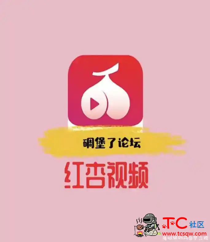 红杏视频VIP解无限看 TC辅助网www.tcsq1.com2529