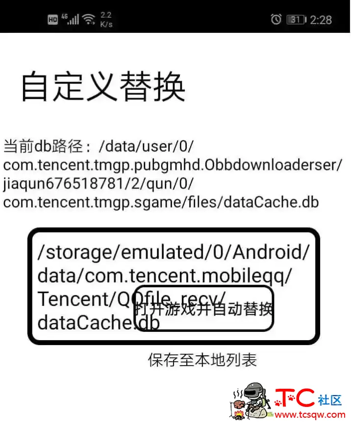 王者荣耀全皮肤db 附使用教程一套 TC辅助网www.tcsq1.com7534