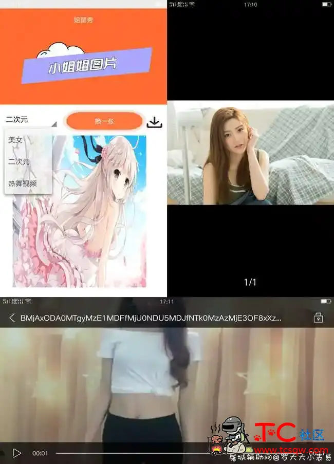 姐图秀V1.0查看小姐姐图片/热舞 TC辅助网www.tcsq1.com2567