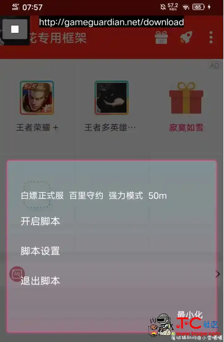 王者荣耀多英雄自瞄内置修改器 TC辅助网www.tcsq1.com6446