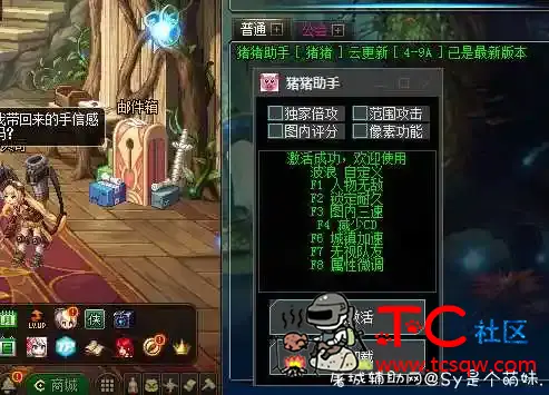 DNF猪猪助手4.9破解版 TC辅助网www.tcsq1.com2993