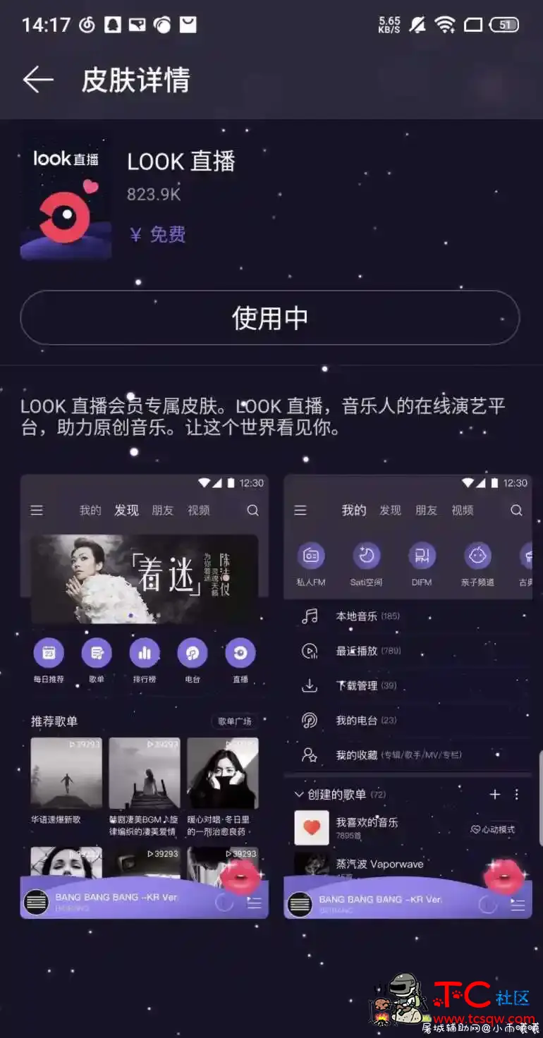 网易云音乐 解锁灰色歌曲 黑胶会员 解锁会员歌曲 皮肤 TC辅助网www.tcsq1.com69