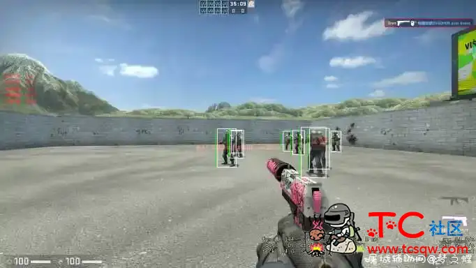 CSGO Oops辅助 透视自瞄 TC辅助网www.tcsq1.com3117