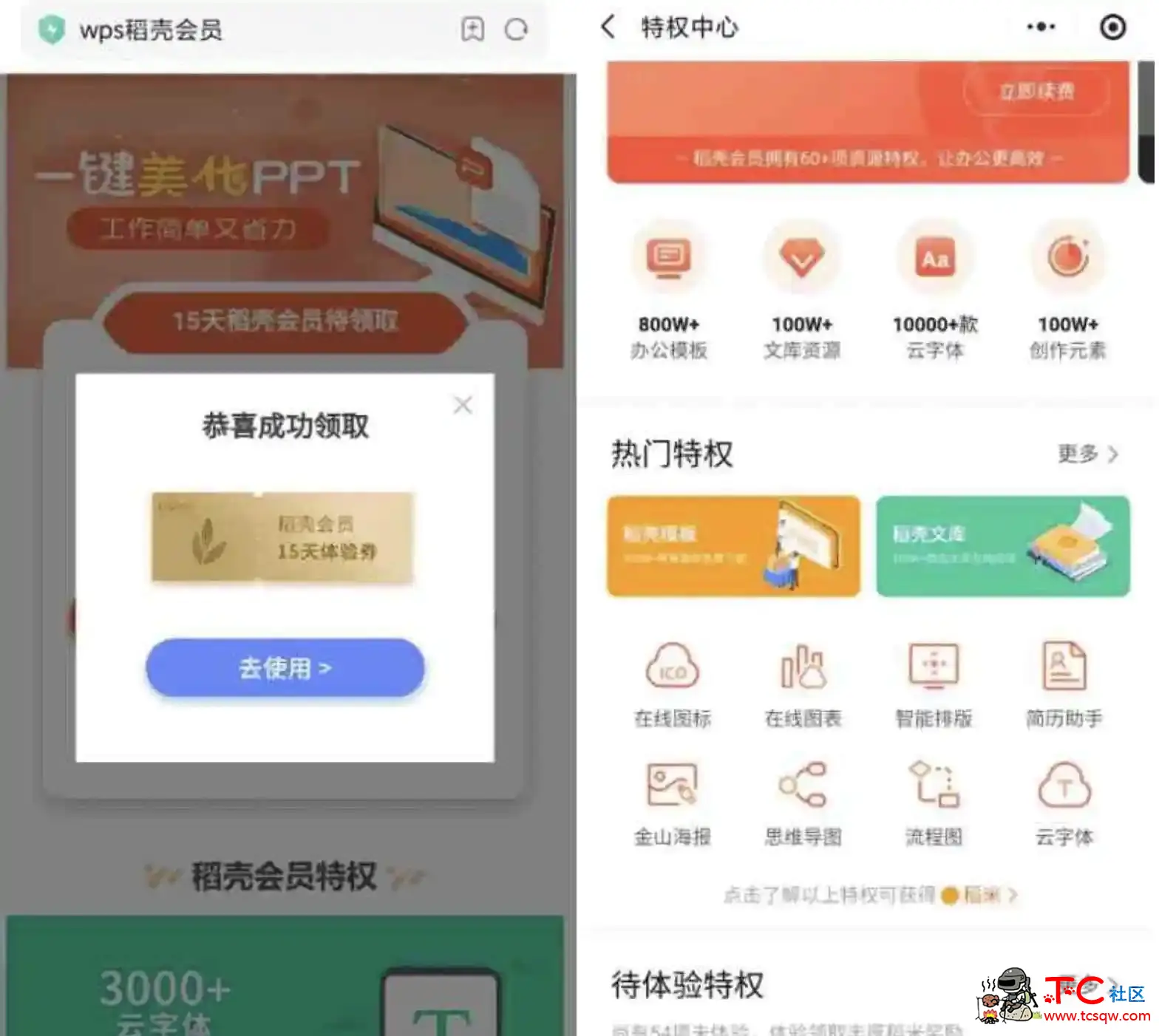免费领取195天WPS稻壳会员活动 TC辅助网www.tcsq1.com238