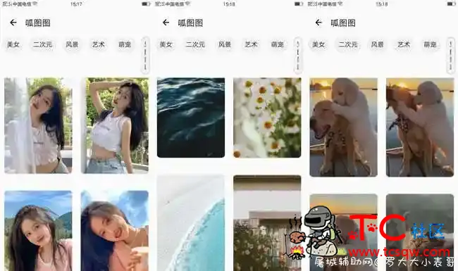 安卓壁纸会员版 百万高清壁纸 TC辅助网www.tcsq1.com6581