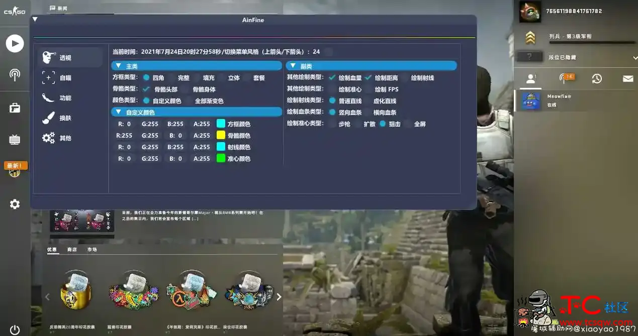 CSGO AinFine 官匹/5e稳定透视自瞄 TC辅助网www.tcsq1.com5413