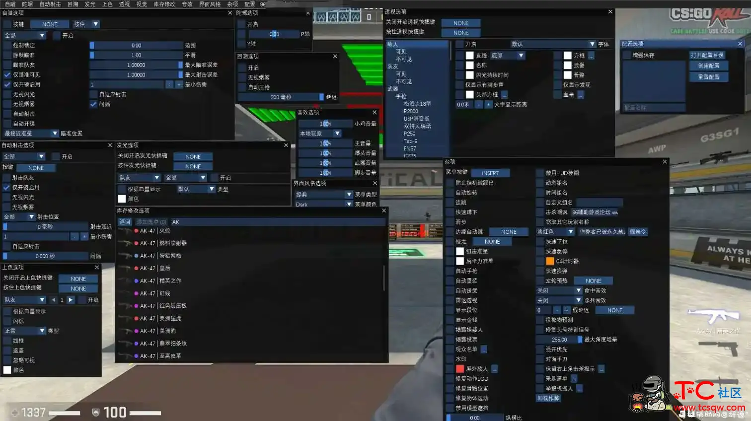 CSGO_Osiris中文汉化版多功能助手软件 TC辅助网www.tcsq1.com147