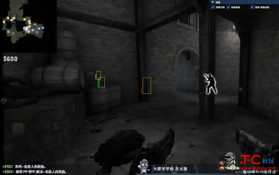 CSGO·神女·方框显血透视+智能微压枪V8.8 TC辅助网www.tcsq1.com8155