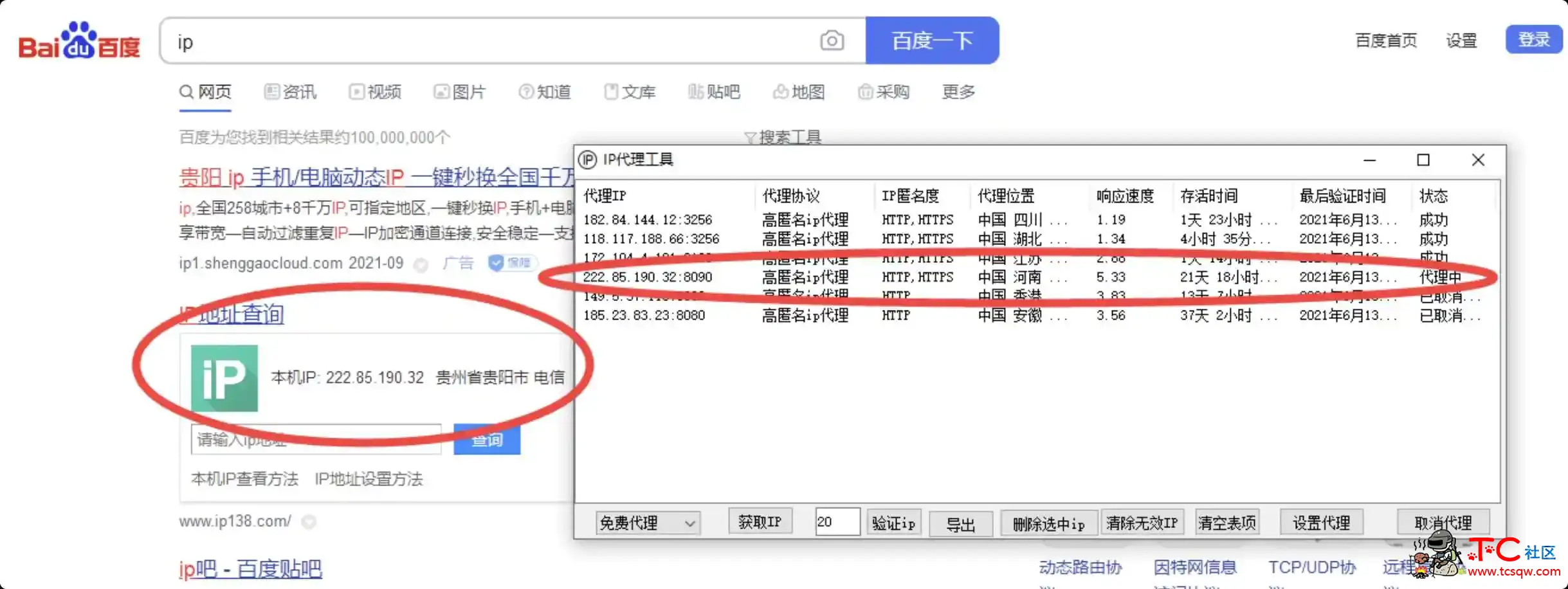 代理IP免费获取工具源码 检测IP有效性 设置代理IP等 TC辅助网www.tcsq1.com8747