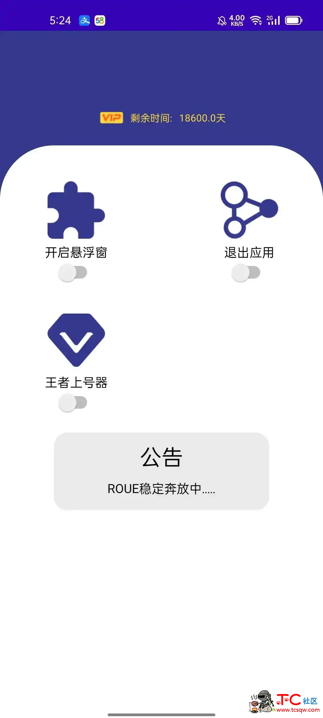 王者荣耀ROUE TC辅助网www.tcsq1.com9976