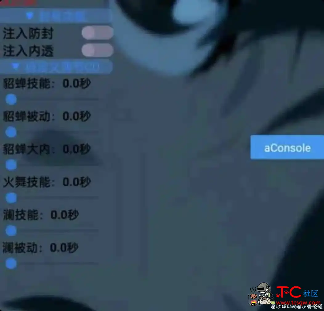 王者荣耀aConsole1.4内透+防封 TC辅助网www.tcsq1.com8578