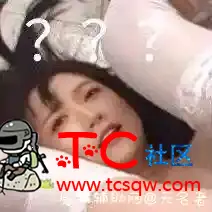 这是什么视频 TC辅助网www.tcsq1.com1849