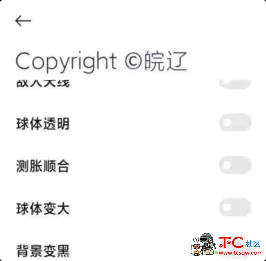 球球大作战皖辽直装最新版 TC辅助网www.tcsq1.com1793