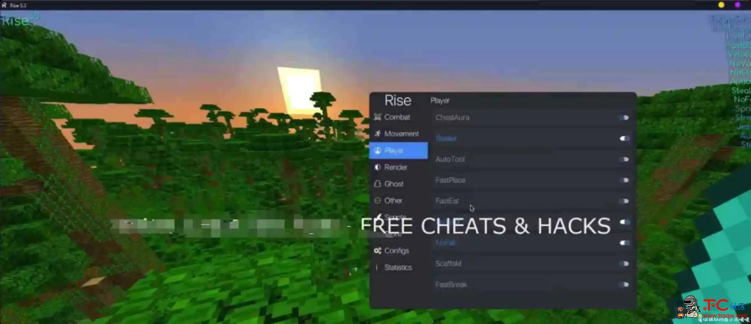我的世界Rise客户端地雷工艺欺骗 免费破解 TC辅助网www.tcsq1.com2468