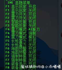 永杰无间透视多功能免费辅助 屠城辅助网www.tcfz1.com9156