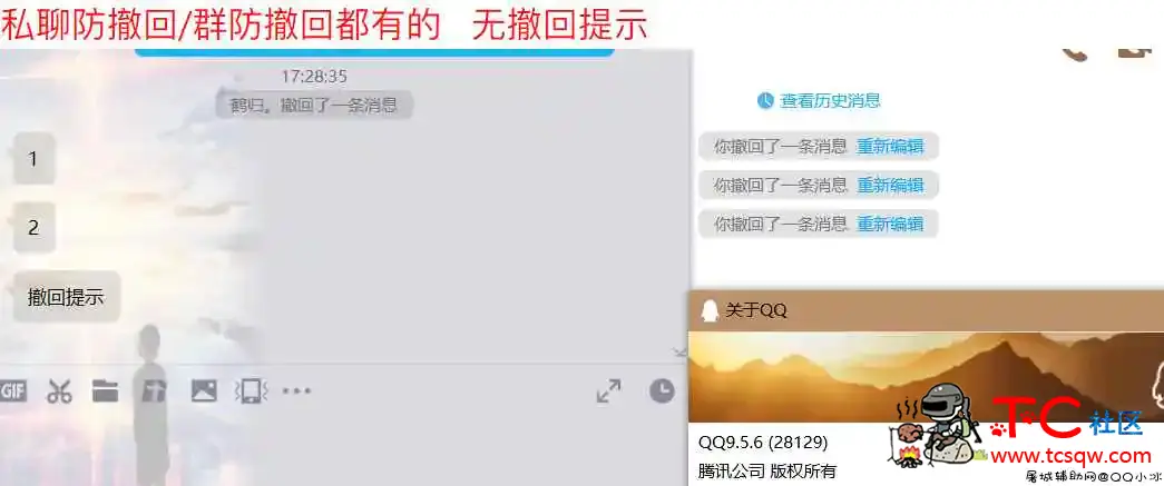 [1.23更新]腾讯QQ9.5.6（28129）防撤回补丁 TC辅助网www.tcsq1.com8497