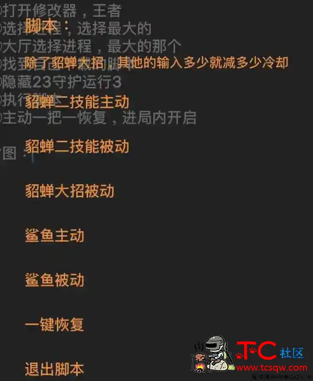 王者貂蝉 澜 鲨鱼自定义减CD助手「2022.1.30」 TC辅助网www.tcsq1.com369