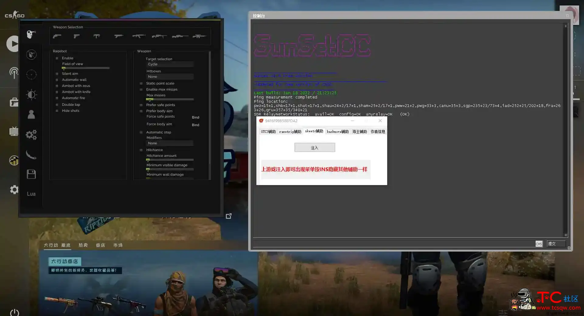 CSGO陀螺辅助整合一键注入 TC辅助网www.tcsq1.com6317