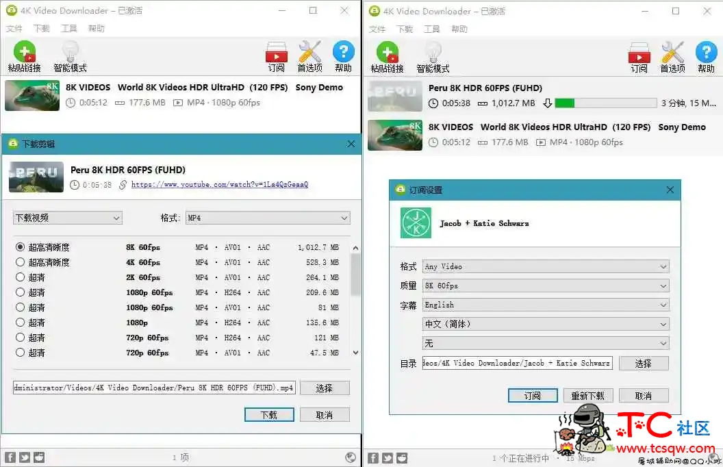 4K Video Downloader v4.19.4 TC辅助网www.tcsq1.com8533