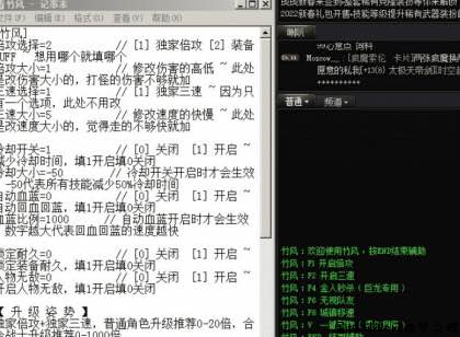 DNF竹风手动3.3破解版 多功能辅助 TC辅助网www.tcsq1.com2746