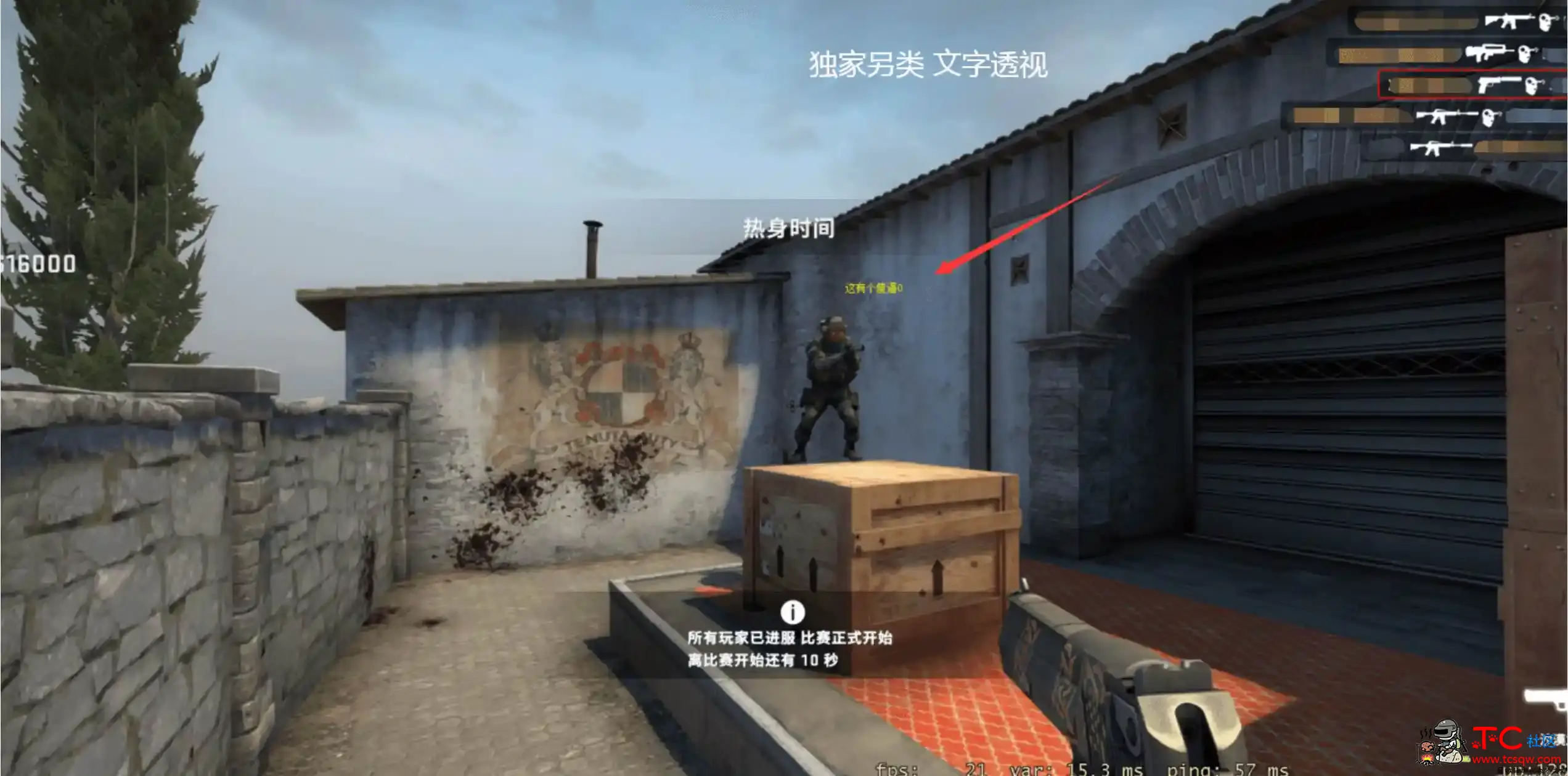 CSGO 女神5E专用独家文字透视自瞄免费辅助 TC辅助网www.tcsq1.com2464