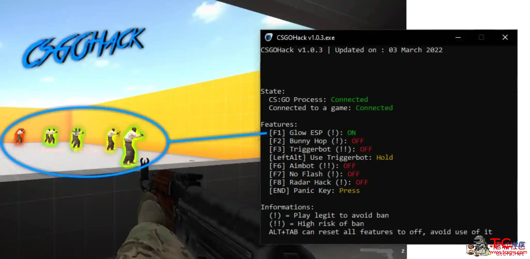 CSGO Hack v1.0.7 透视自瞄连跳多功能辅助 TC辅助网www.tcsq1.com6875