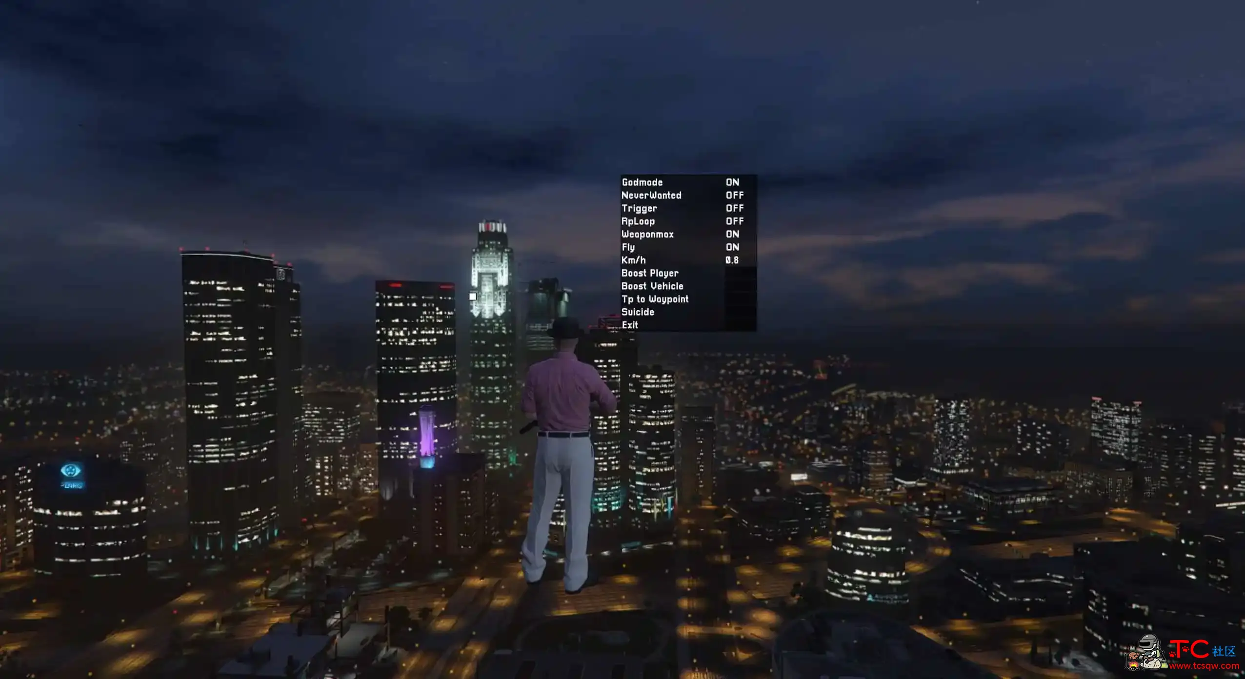 GTA5 pHake外部版多功能免费辅助v5.3[1.60] TC辅助网www.tcsq1.com4446