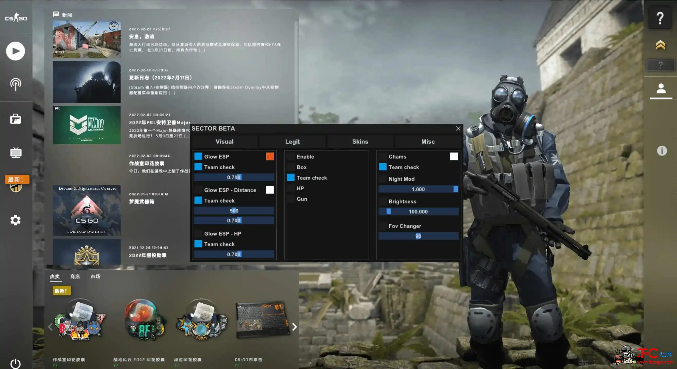 CSGO SECTOR透视自瞄换肤多功能作弊辅助 TC辅助网www.tcsq1.com1238