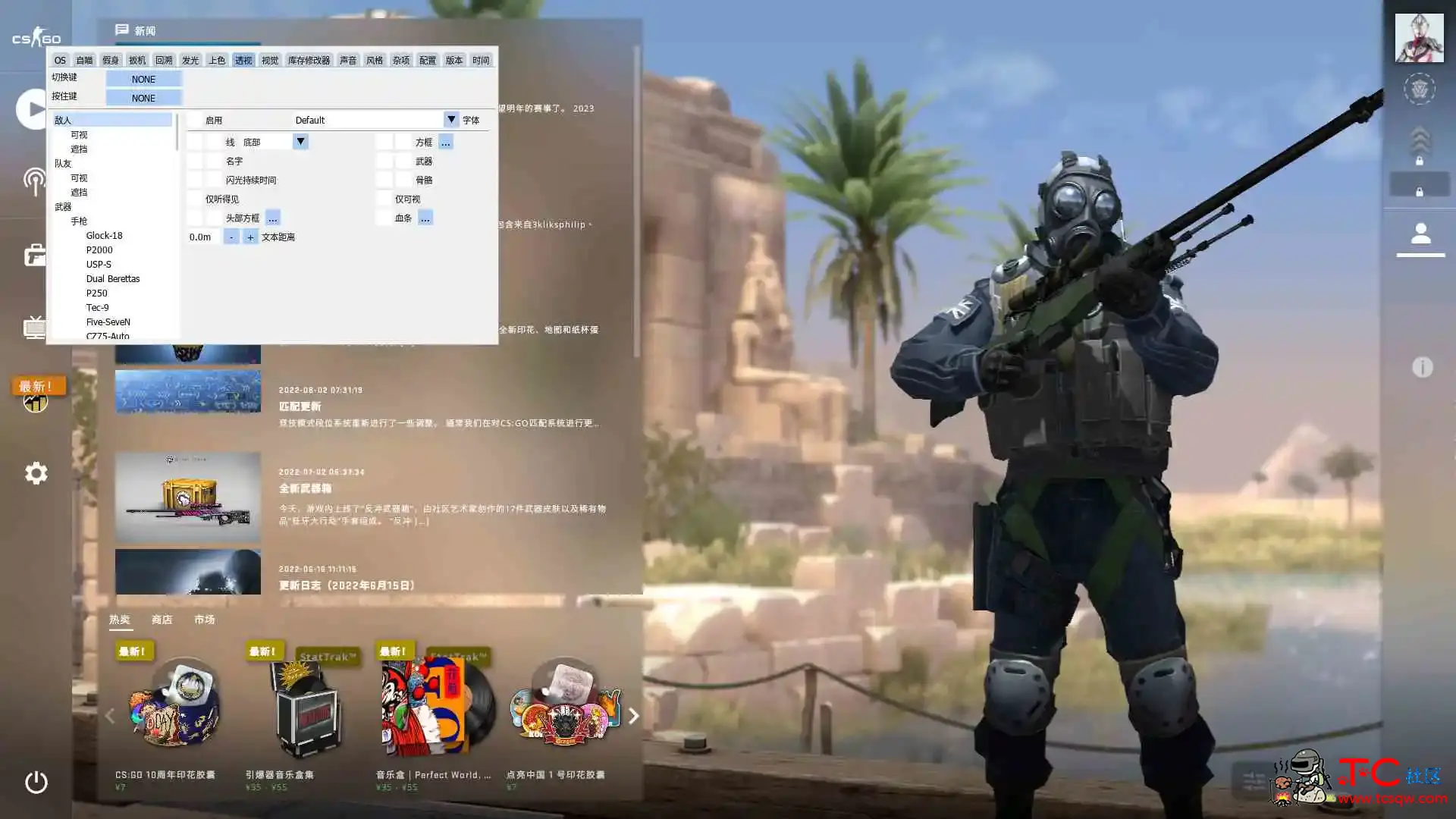 csgo海王全能版辅助破解免费 TC辅助网www.tcsq1.com8486