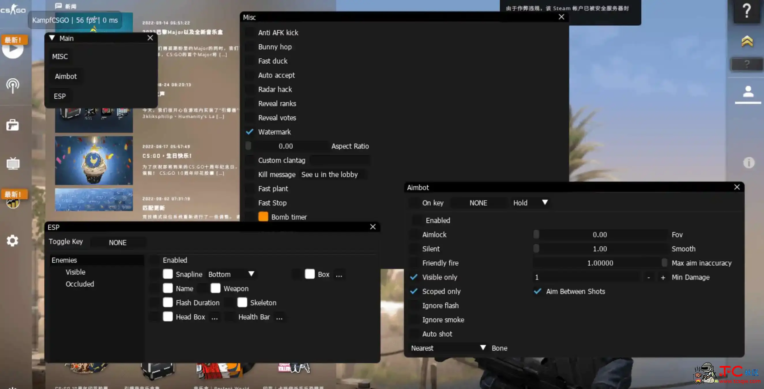 CSGOKampf透视自瞄多功能作弊辅助 TC辅助网www.tcsq1.com644