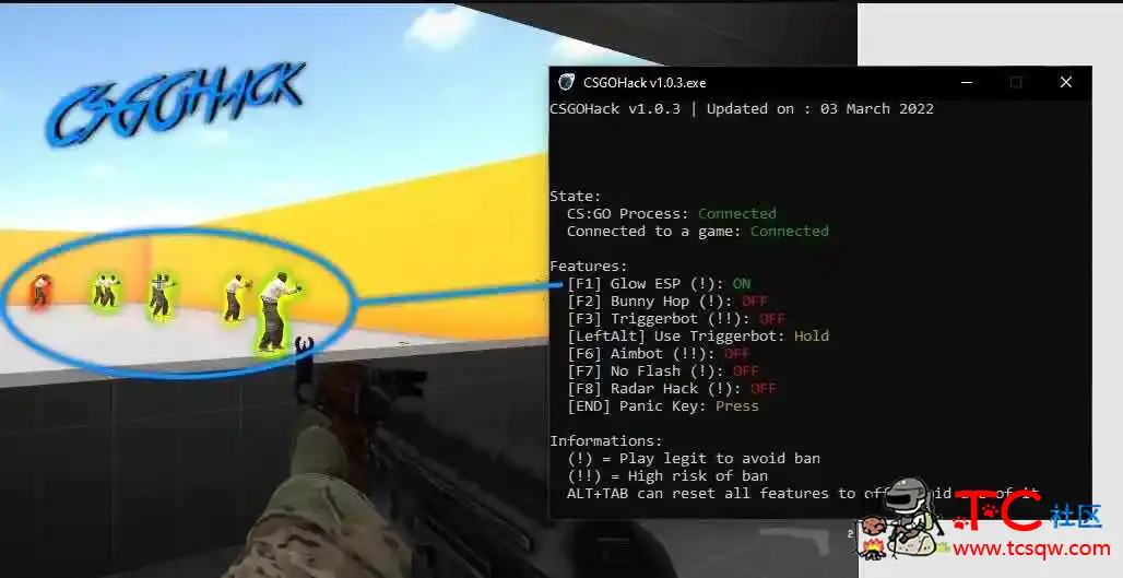 CSGOHackV1.2.16透视连跳自瞄扳机 TC辅助网www.tcsq1.com65